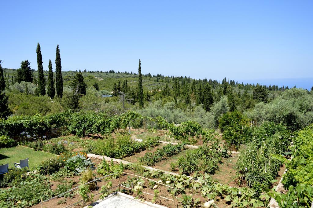 Despoina Rooms Τσουκαλάδες Εξωτερικό φωτογραφία