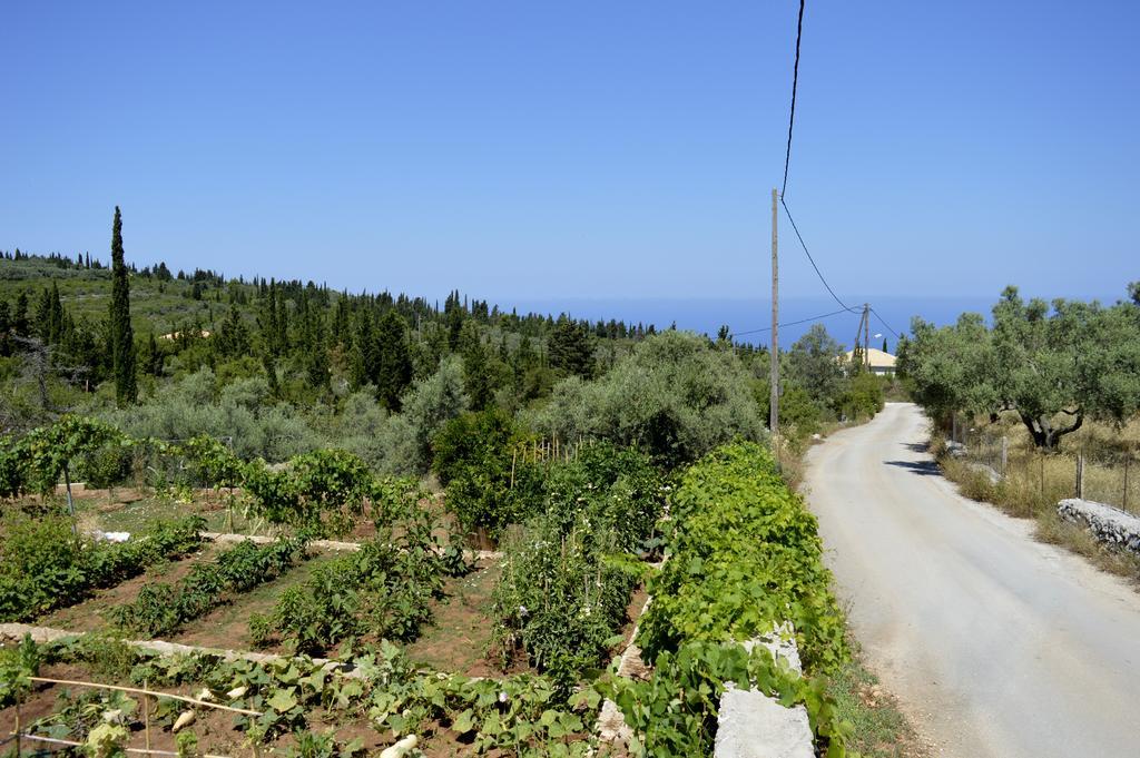 Despoina Rooms Τσουκαλάδες Εξωτερικό φωτογραφία